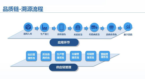 企業產品溯源系統 破解供應鏈數據孤島，信息系統集成服務的價值實踐